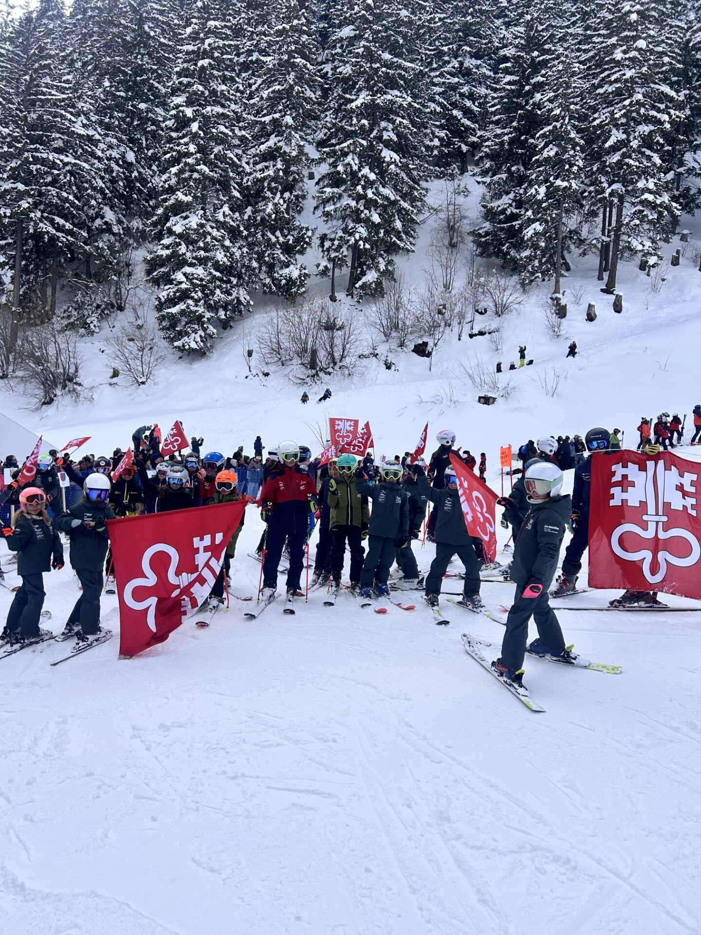 1b8a0d19-ee5a-4c46-839d-a20f81d944cb